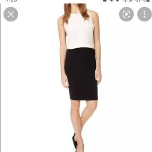 Aritzia Wilfred Pencil skirt